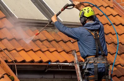 Démoussage et hydrofuge de toiture à Meyrieux-Trouet
